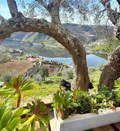בית נופש Casa Dos Avos - Douro *