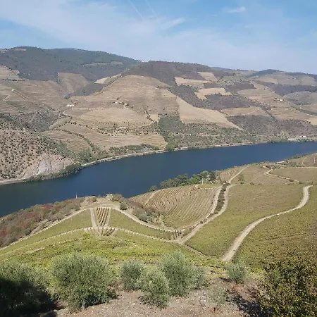 Casa Dos Avós - Douro Folgosa (Viseu)