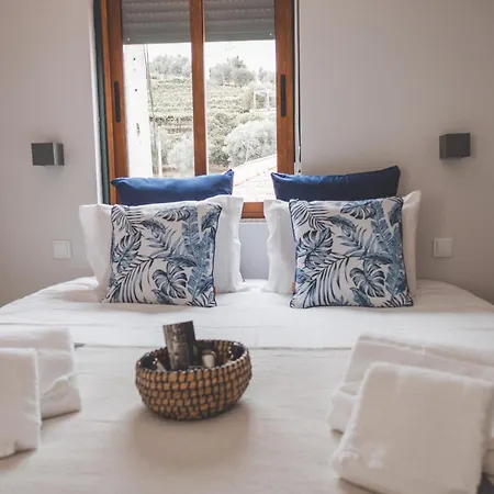 Σπίτι διακοπών Casa Dos Avos - Douro