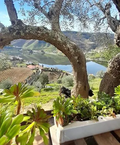בית נופש Casa Dos Avos - Douro *