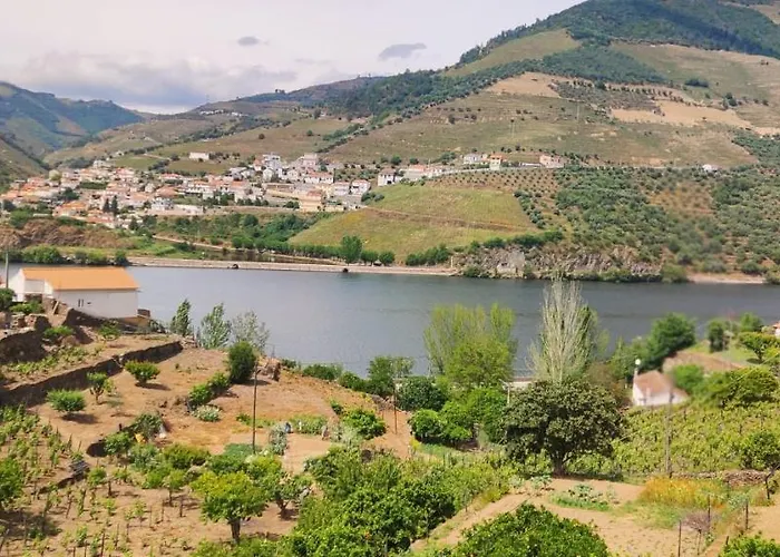 Casa Dos Avos - Douro בית נופש Folgosa (Viseu)