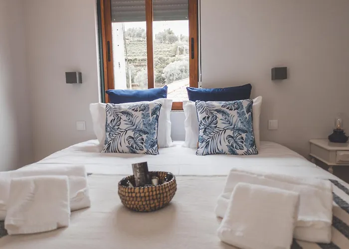 Ferienhaus Casa Dos Avos - Douro